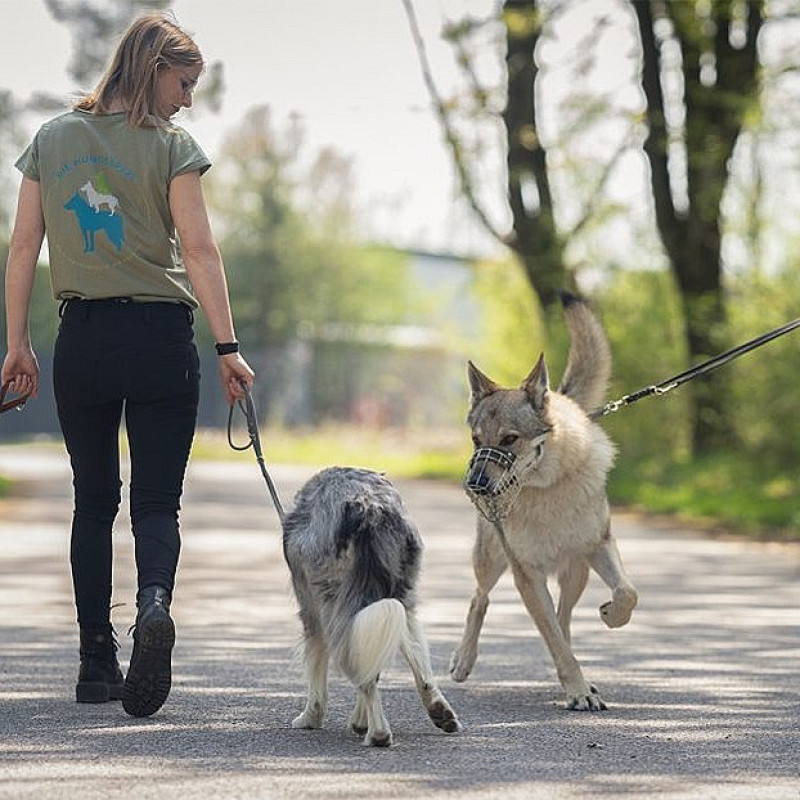 Begegnungskurs High-Noon