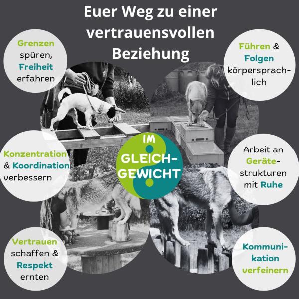 Im Gleichgewicht
