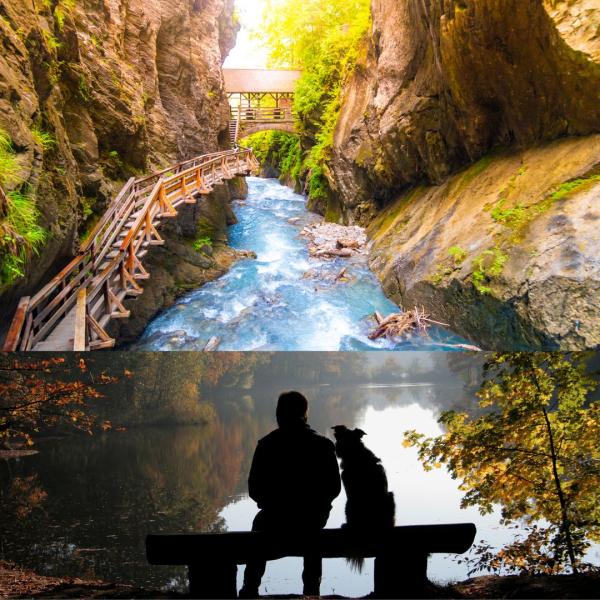 Almbachklamm Wanderung