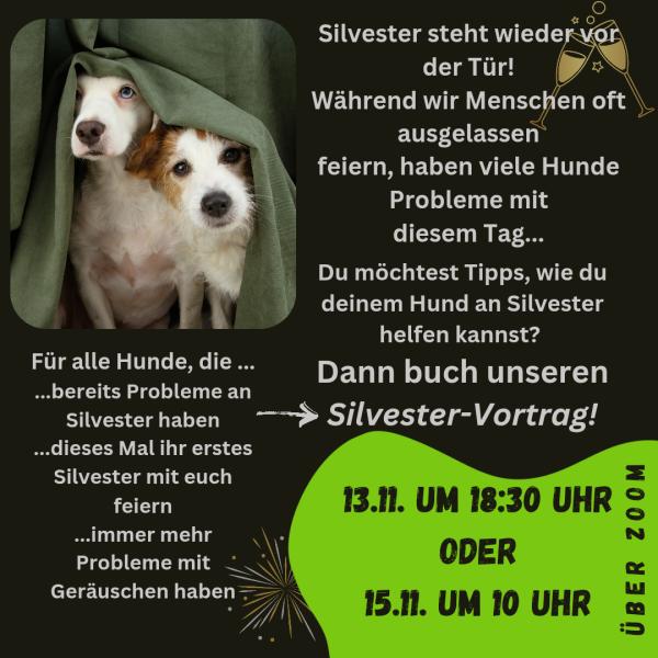 Silvester Vortrag