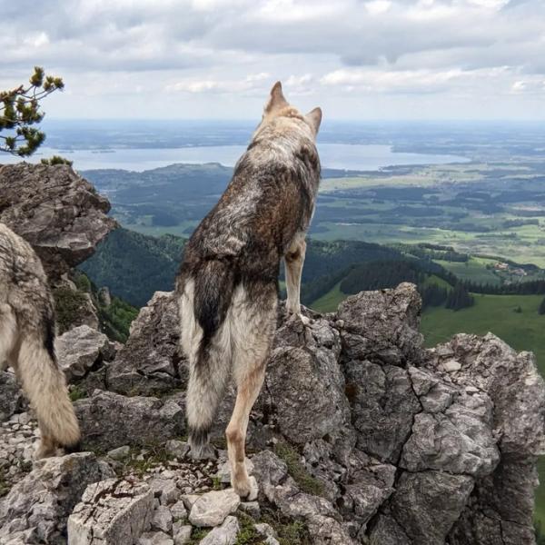 Berg Wanderung Chiemgau