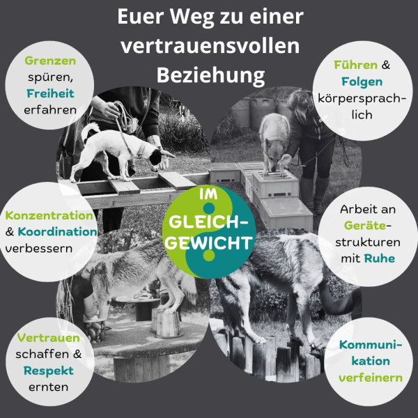 Im Gleichgewicht