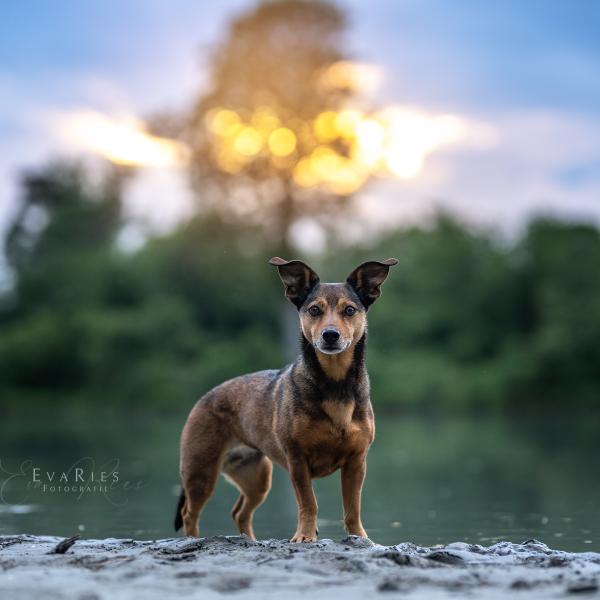 Fotowalk Bergham Badesee