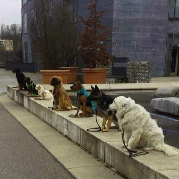 Burghausen Stadt Training