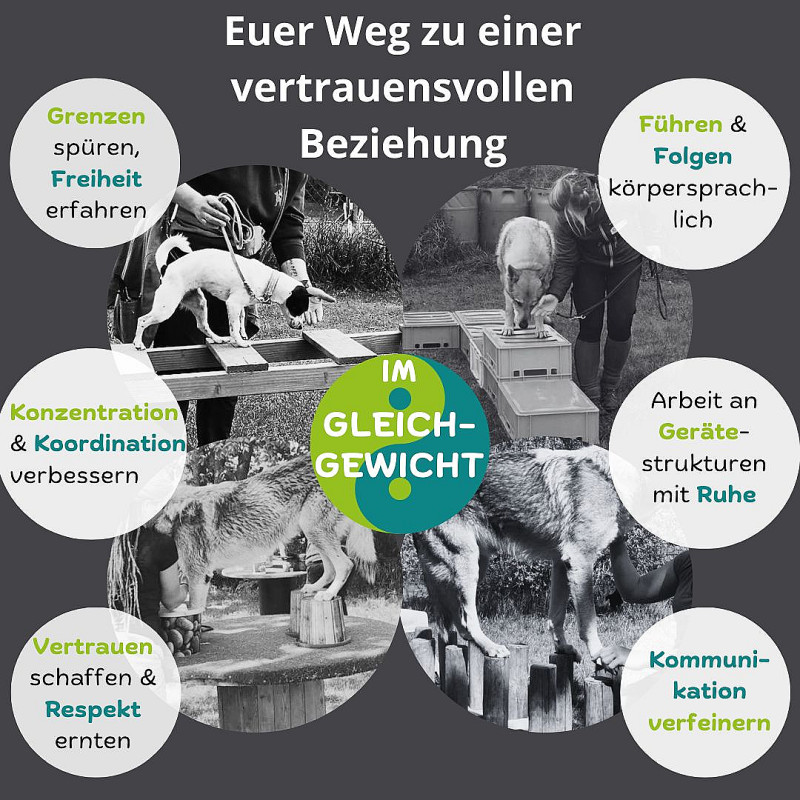 Im Gleichgewicht