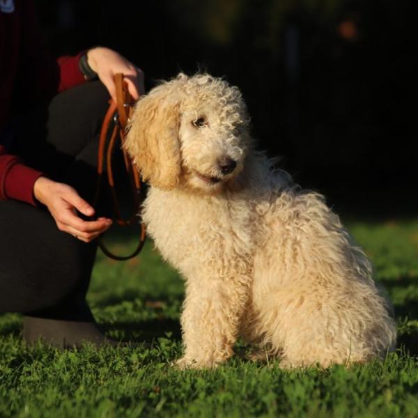 Kooperation & Verbindlichkeit