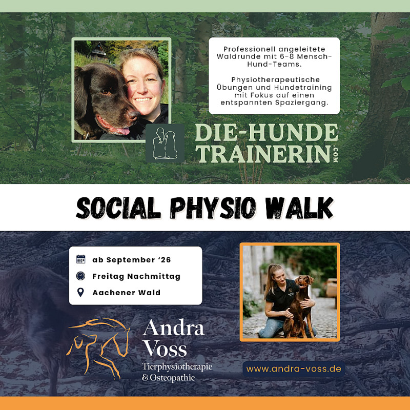 Physio-Social Walk