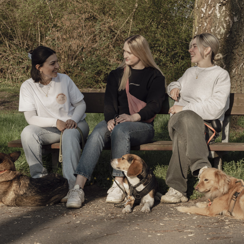 Weihnachtlicher Spenden-Social-Walk