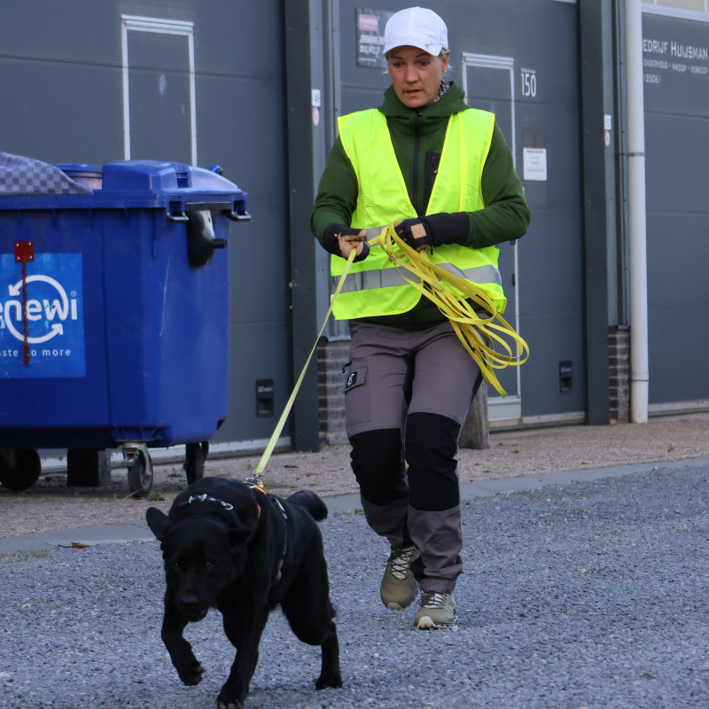(MT) Mantrailing Donnerstag