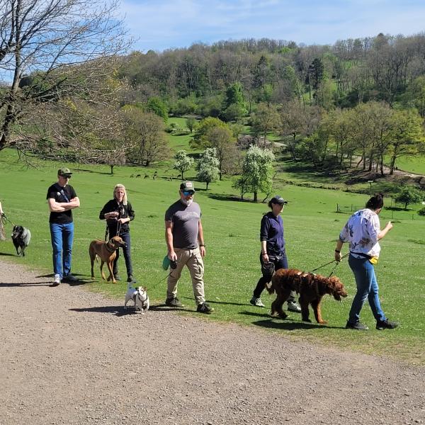 (SW) Social Walk