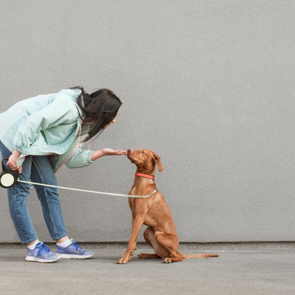 (KS) Körpersprache statt Kommandos