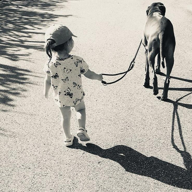 (KK) Kleine Hundeflüsterer - Hundekörpersprache für Kinder