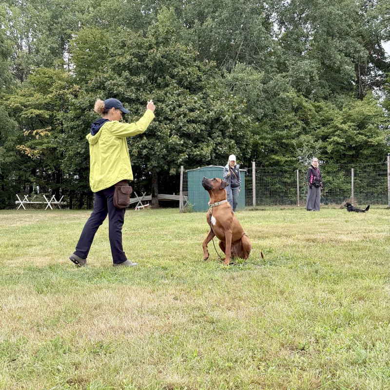 (GT) Gruppentraining/Alltagstraining Samstag