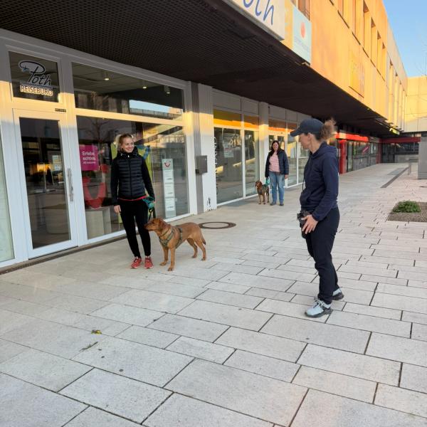 (BT) Begegnungstraining Saarpark Center Neunkirchen