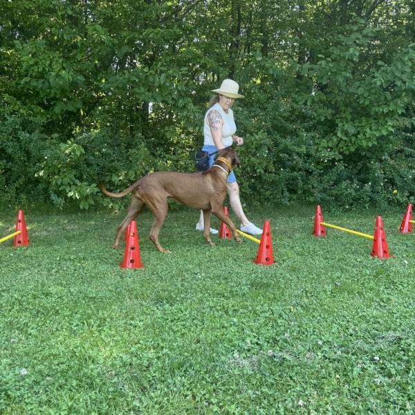 (FS) Fit & sicher auf vier Pfoten mit Dunja