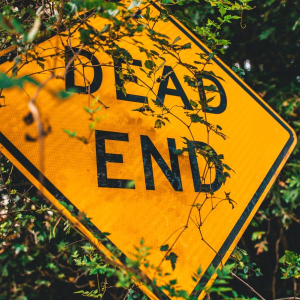 (AG) Anti - Giftköder - Training