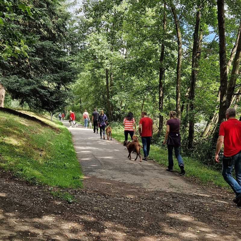 (SW) Social Walk