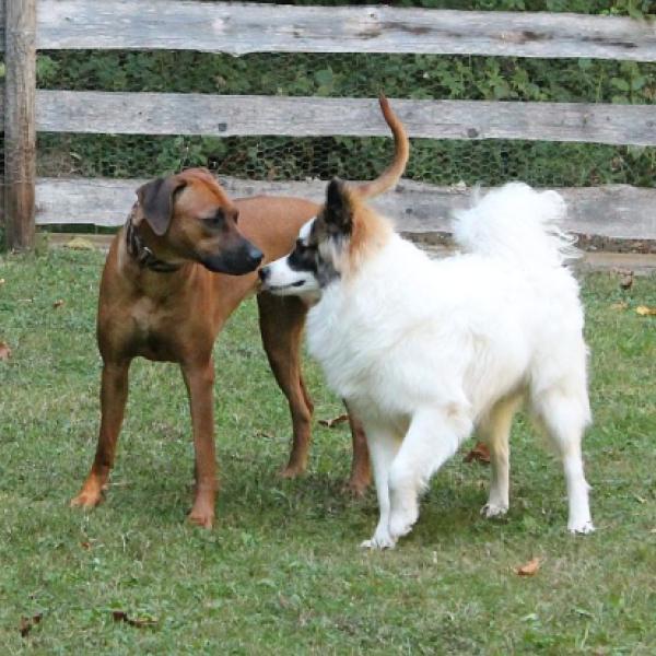 (KK) Seminar Körpersprache & Kommunikation (Karfreitag)