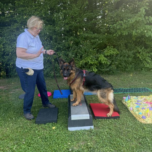 (PC) Einblicke ins Parcours-Training mit Chiara