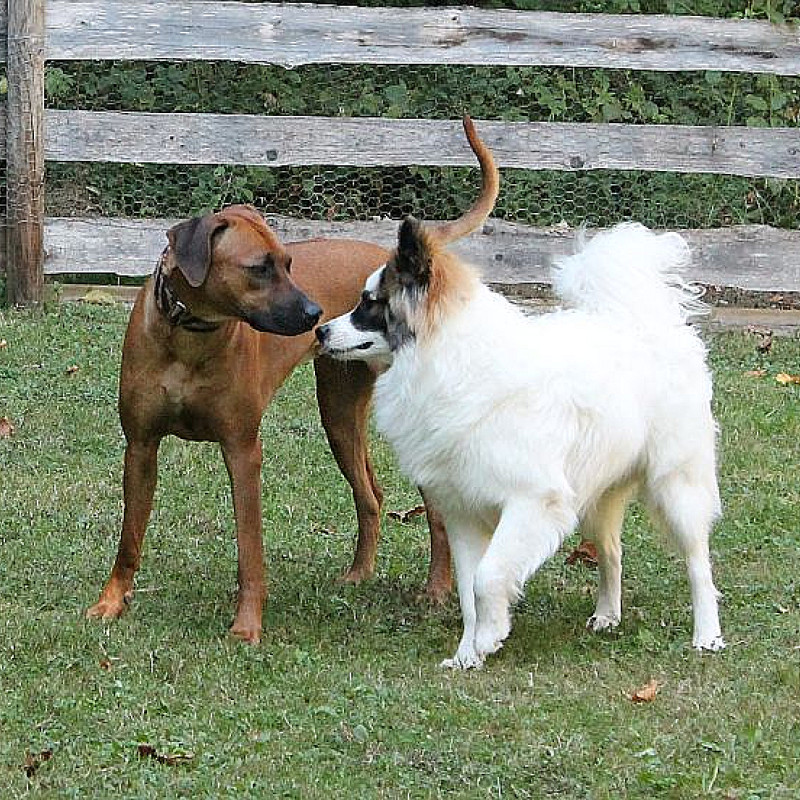 (KK) Seminar Körpersprache & Kommunikation