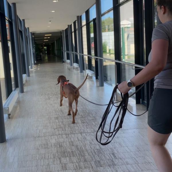 (MT) Special Trail Event