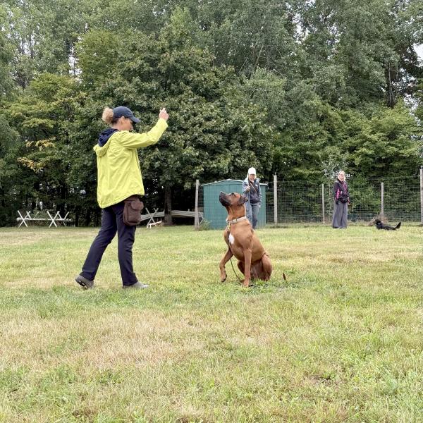 (GT) Alltagstraining