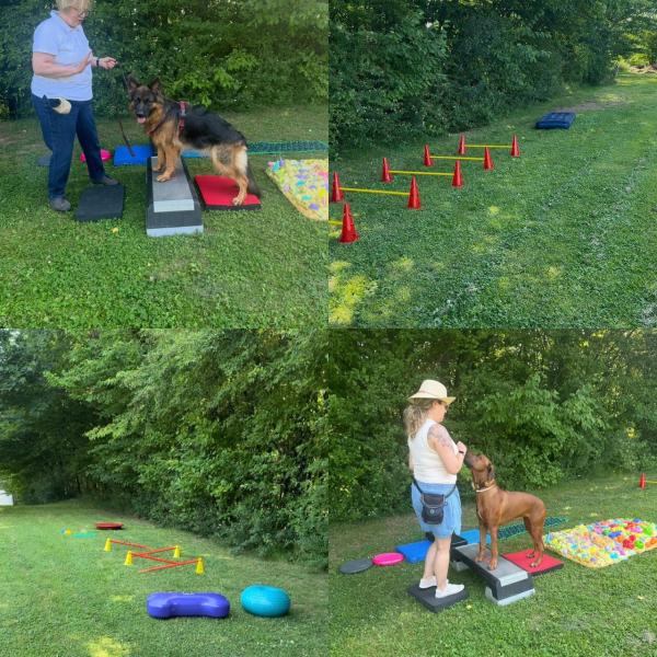 (PC) Parcours-Training mit Chiara