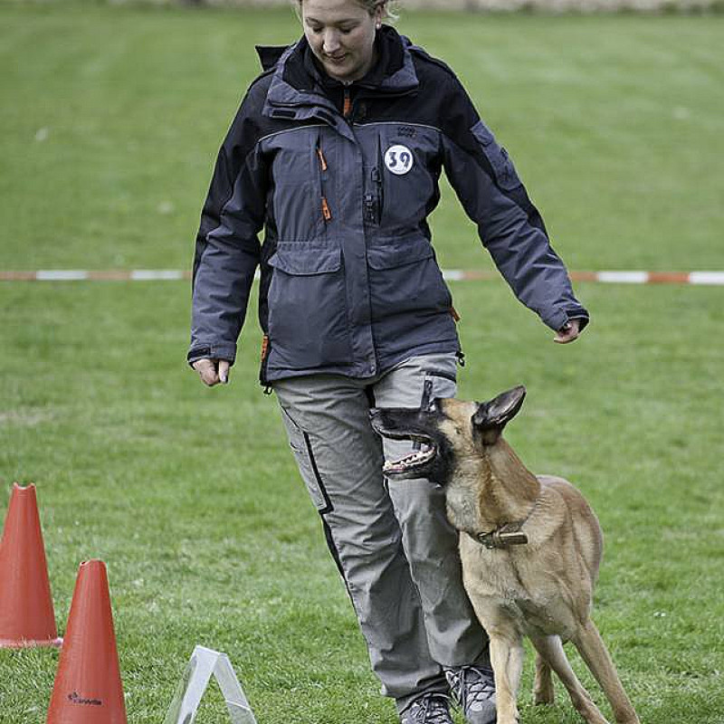 Rally Obedience