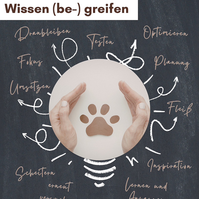 FOKUS HUND Stimmungsübertragung