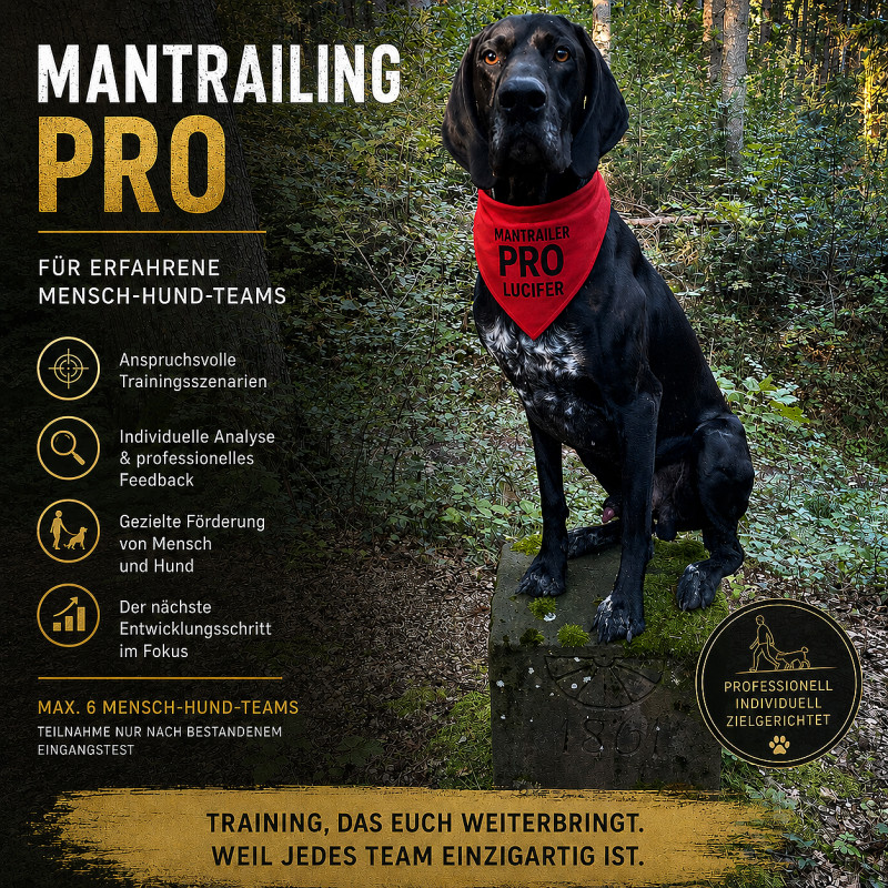 Mantrailing PRO
