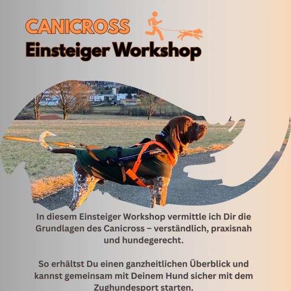 CANICROSS Einsteiger Workshop