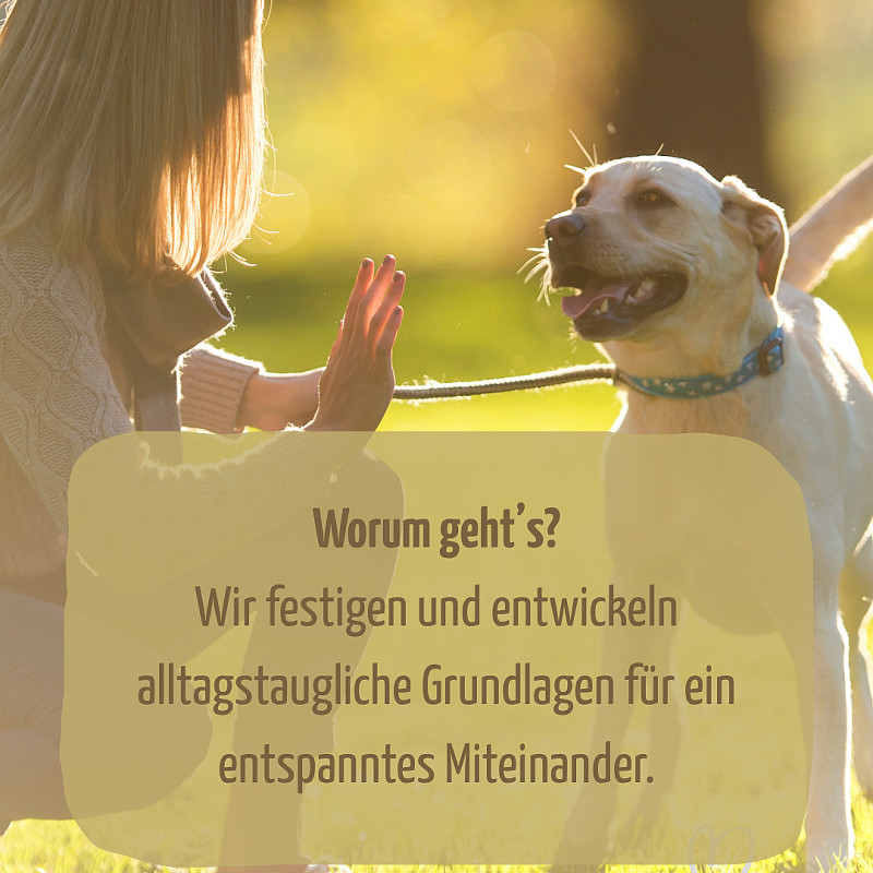 BENIMM DICH - Offene Trainingsgruppe