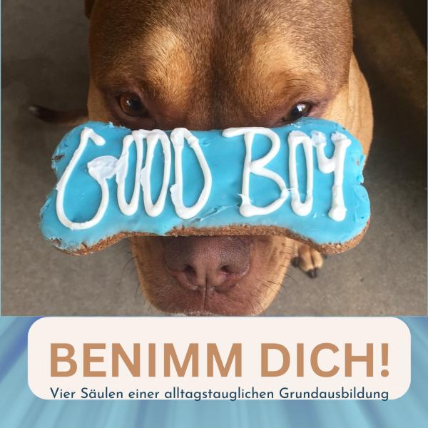 BENIMM DICH - Balingen