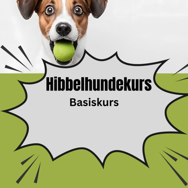 Hibbelhundekurs - Basiskurs