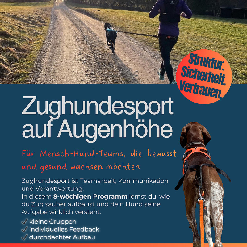 Zughundesport auf Augenhöhe