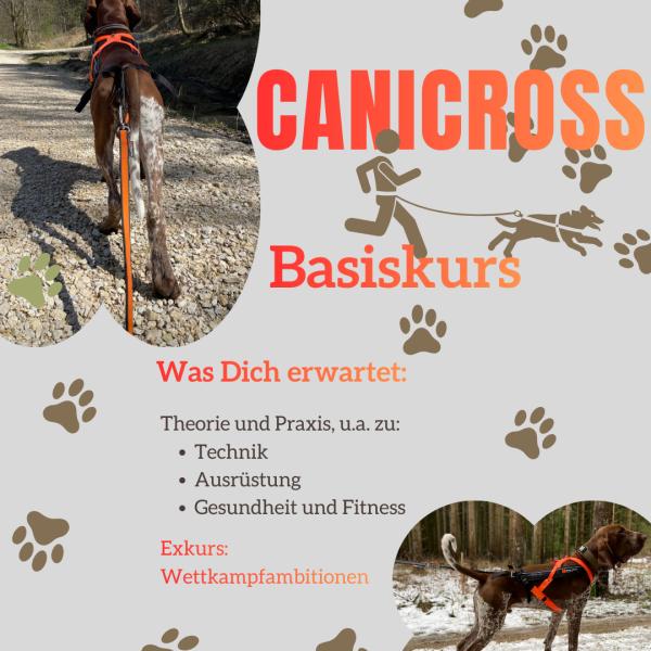 Canicross Basiskurs