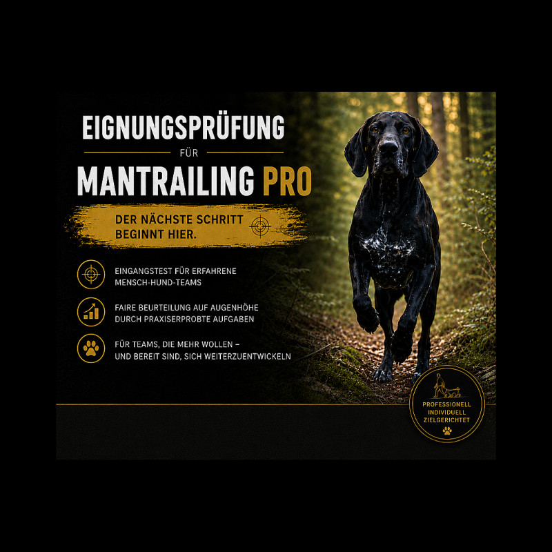 Eignungstest Mantrailing PRO