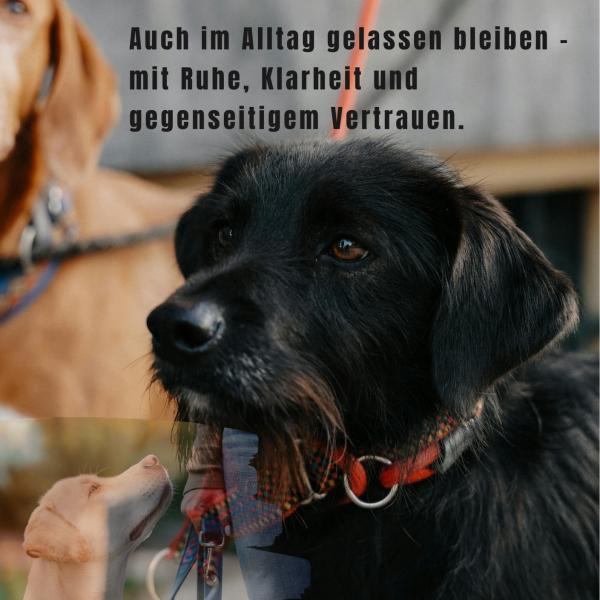 Begegnungen souverän meistern – offene Trainingsgruppe