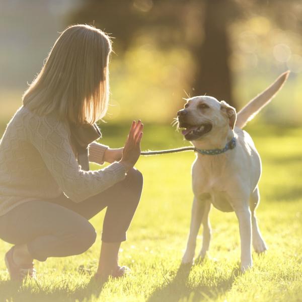 BENIMM DICH - offene Trainingsgruppe