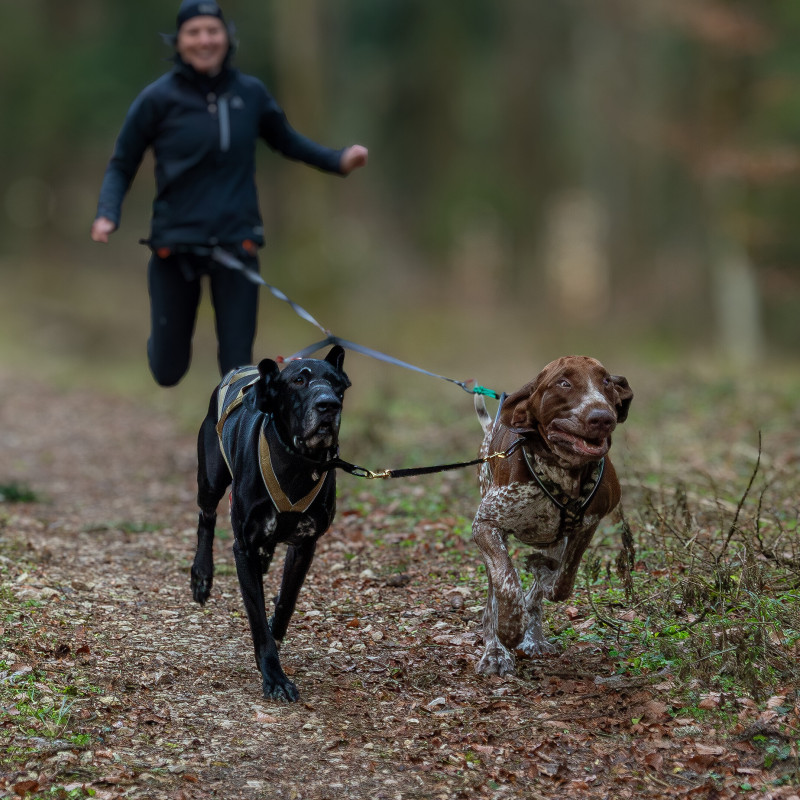 Lucifer`s Running Pack