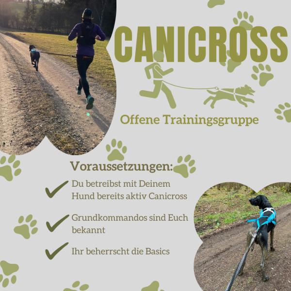 Canicross - offene Trainingsgruppe
