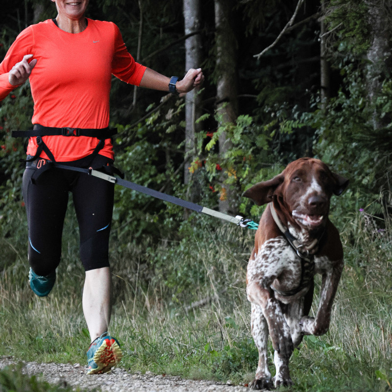 CANICROSS - READY FOR SEASON