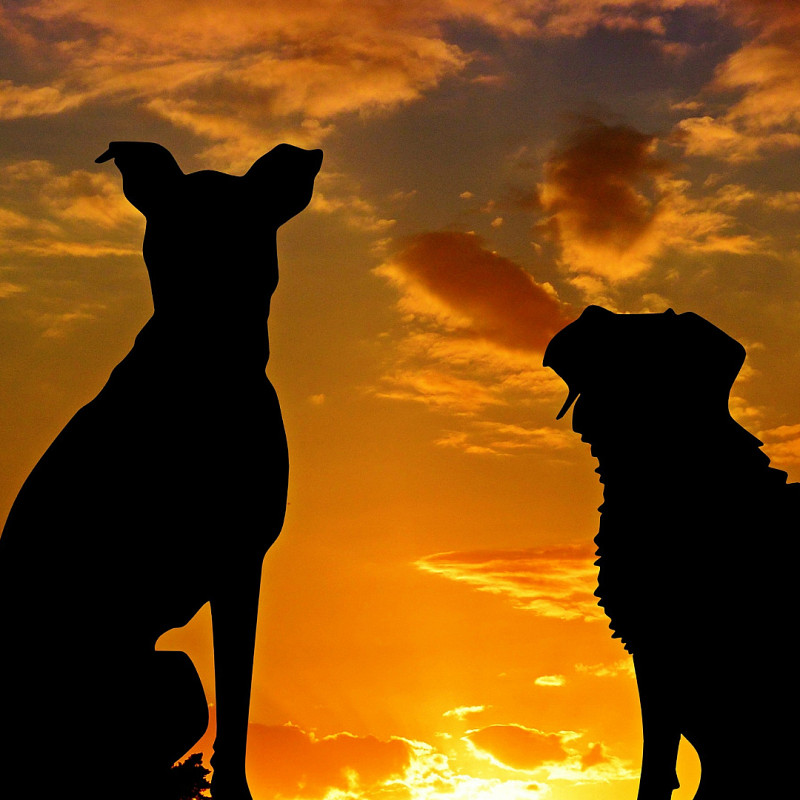 Begegnungen souverän meistern - Offene Trainingsgruppe
