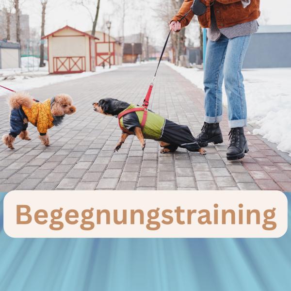 Begegnungstraining