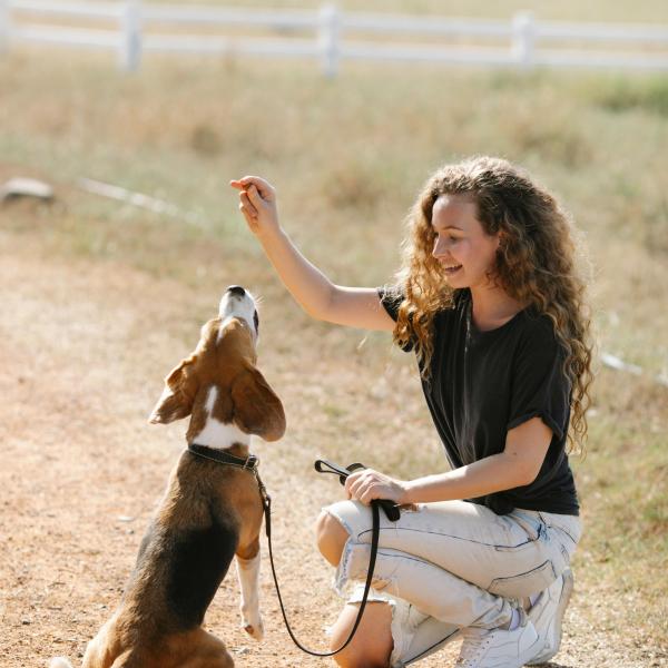 Tricks - ZUSAMMEN KREATIV