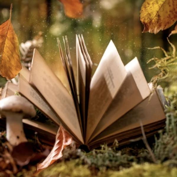 Märchenpfad – ZUSAMMEN VERZAUBERT