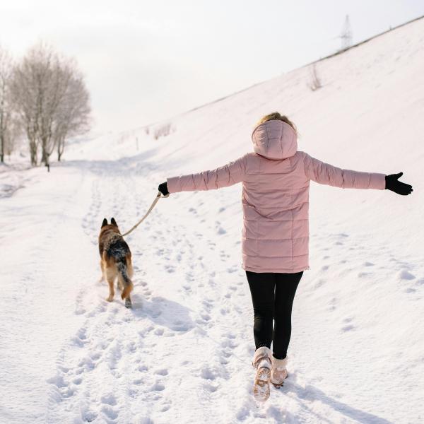 Silvesterwalk - ZUSAMMEN 2026 ABSCHLIESSEN