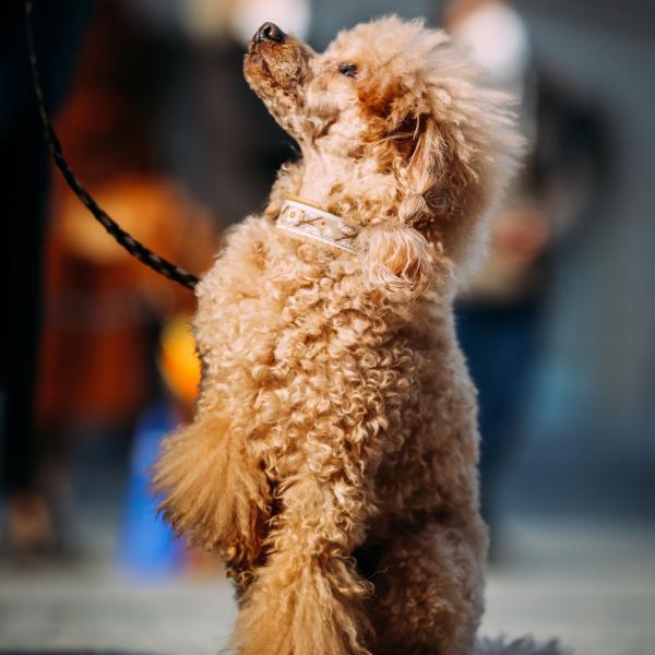 Führen&Folgen - ZUSAMMEN KOMMUNIZIEREN