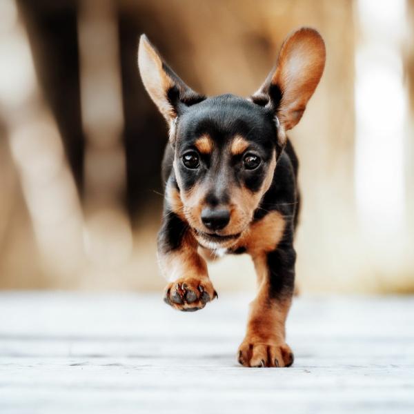 Rückruf - ZUSAMMEN FREI