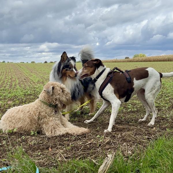 Körpersprache verstehen